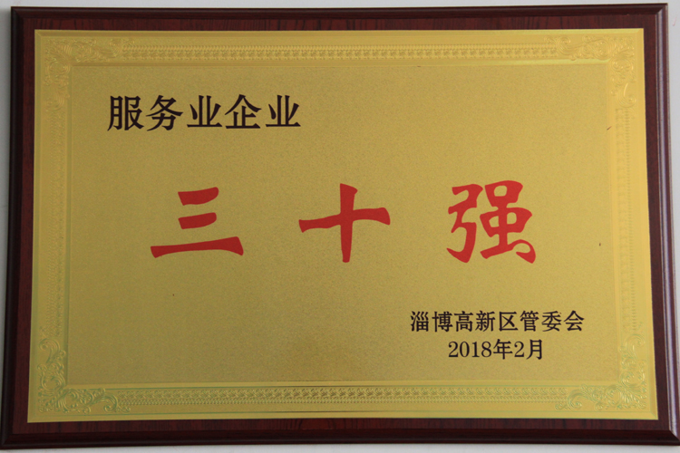 2017年度服務企業(yè)三十強
