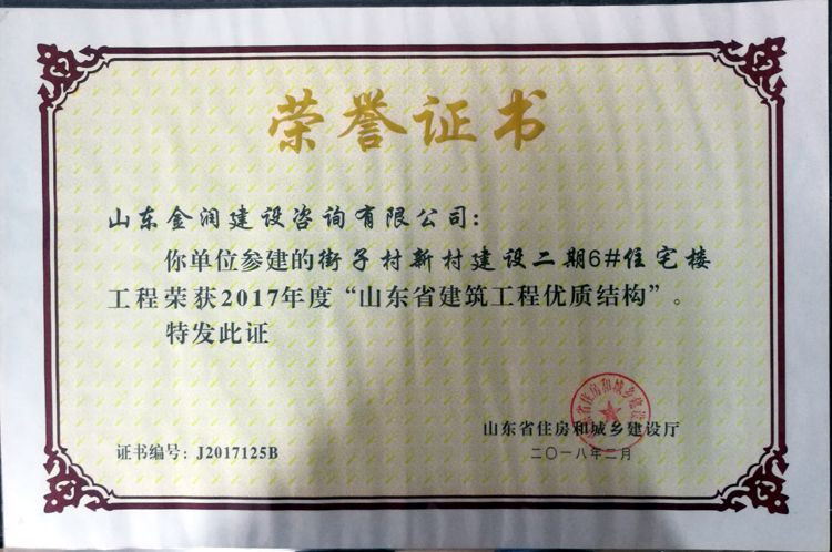 2017年山東省建筑工程優(yōu)質結構獎